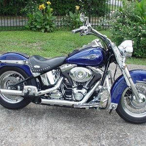 Meet your Posher, Donald